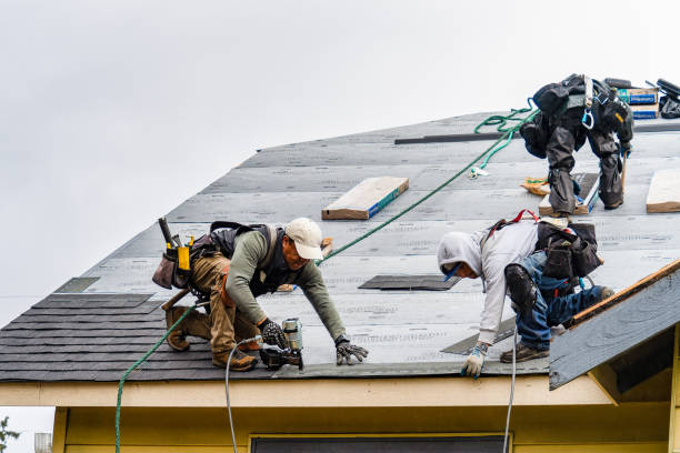 Professional Flat Roof Repair technician working in Hankinson, ND